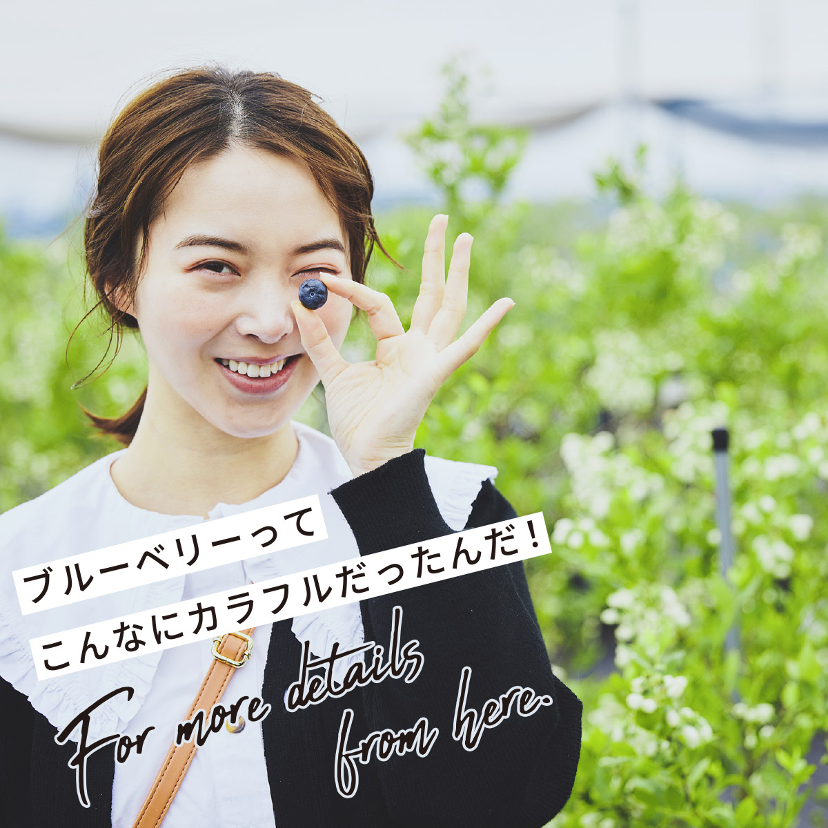 ところざわBlueberryFarm