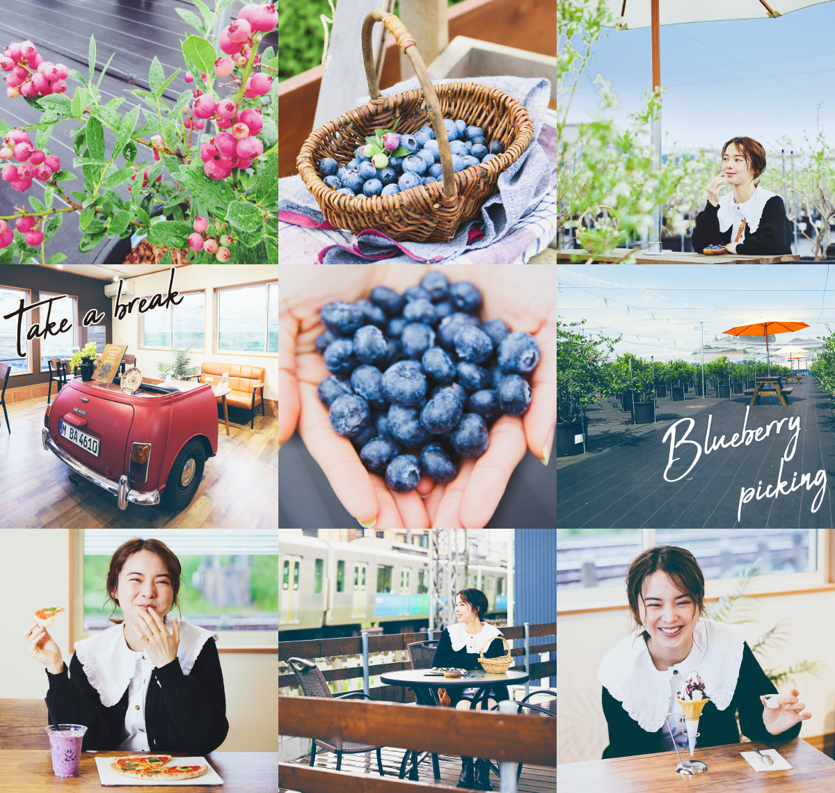 ところざわBlueberryFarm