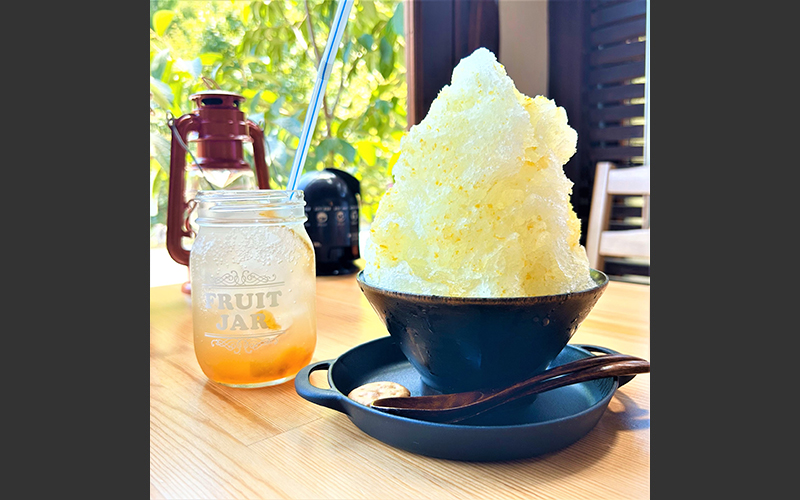 喫茶山草